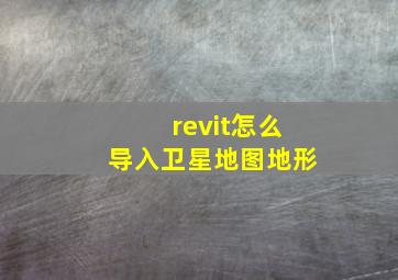 revit怎么导入卫星地图地形