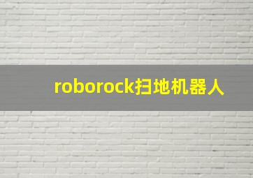 roborock扫地机器人