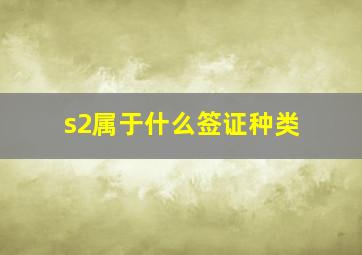 s2属于什么签证种类