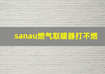 sanau燃气取暖器打不燃