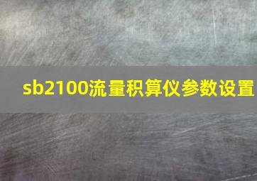 sb2100流量积算仪参数设置