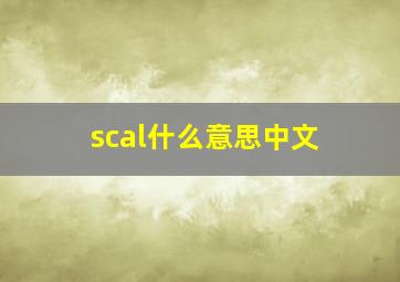 scal什么意思中文