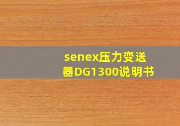 senex压力变送器DG1300说明书