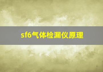 sf6气体检漏仪原理