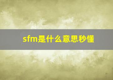 sfm是什么意思秒懂