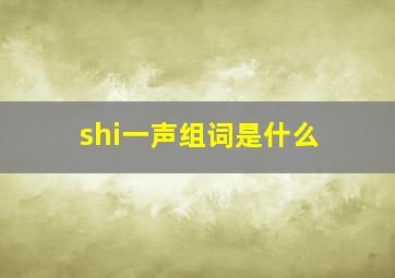 shi一声组词是什么