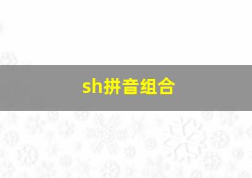 sh拼音组合