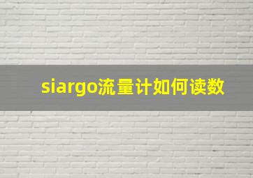 siargo流量计如何读数