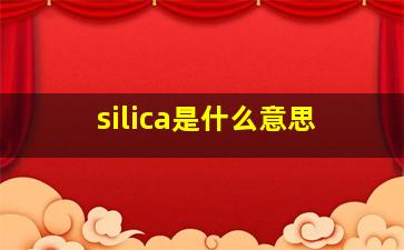 silica是什么意思