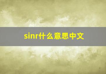 sinr什么意思中文