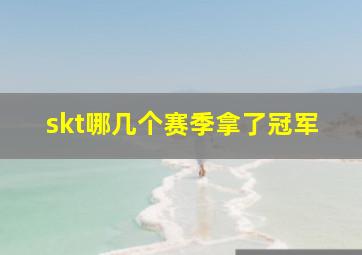 skt哪几个赛季拿了冠军