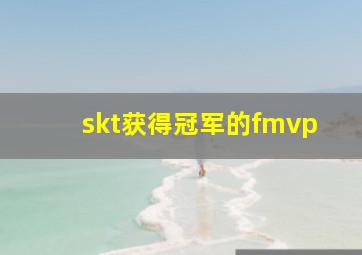 skt获得冠军的fmvp