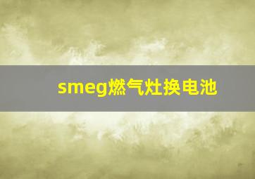 smeg燃气灶换电池