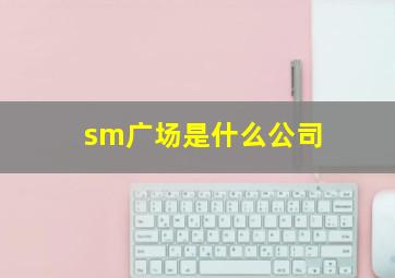 sm广场是什么公司