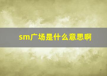 sm广场是什么意思啊