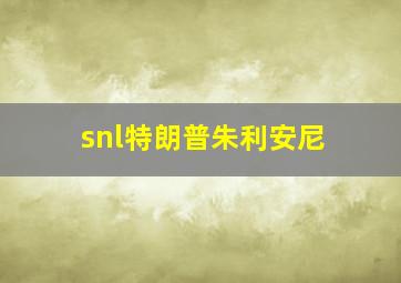 snl特朗普朱利安尼