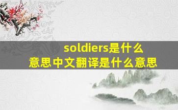 soldiers是什么意思中文翻译是什么意思