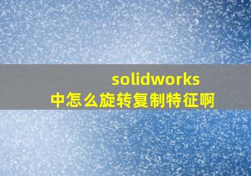 solidworks中怎么旋转复制特征啊