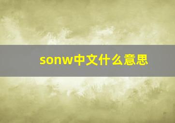 sonw中文什么意思