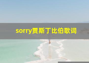 sorry贾斯丁比伯歌词