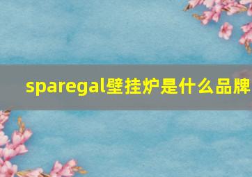 sparegal壁挂炉是什么品牌