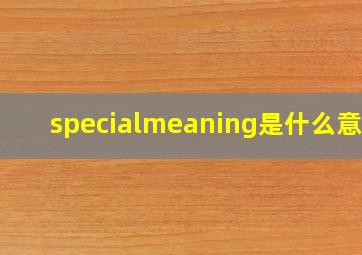 specialmeaning是什么意思