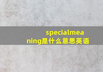 specialmeaning是什么意思英语