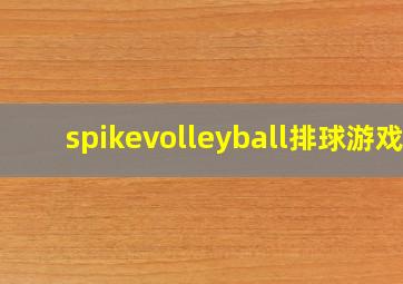 spikevolleyball排球游戏