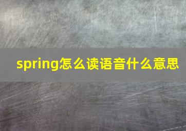 spring怎么读语音什么意思