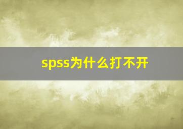 spss为什么打不开