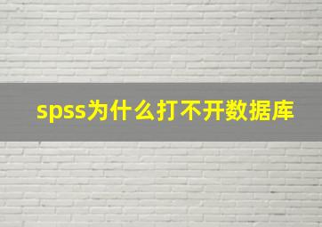 spss为什么打不开数据库