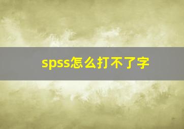 spss怎么打不了字