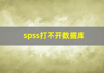 spss打不开数据库