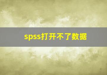 spss打开不了数据