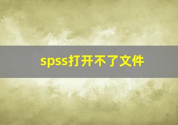 spss打开不了文件