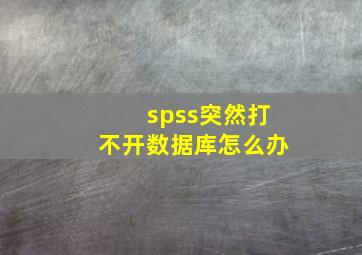 spss突然打不开数据库怎么办