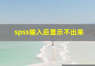 spss输入后显示不出来