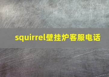 squirrel壁挂炉客服电话