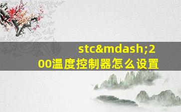 stc—200温度控制器怎么设置