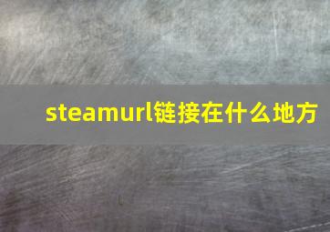 steamurl链接在什么地方