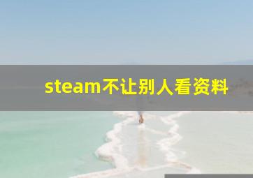 steam不让别人看资料