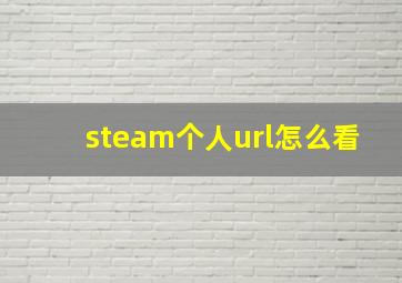 steam个人url怎么看