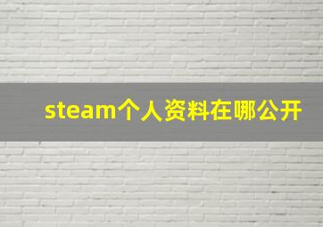 steam个人资料在哪公开