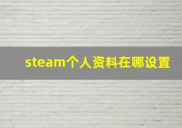 steam个人资料在哪设置