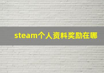 steam个人资料奖励在哪