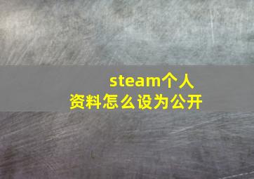 steam个人资料怎么设为公开