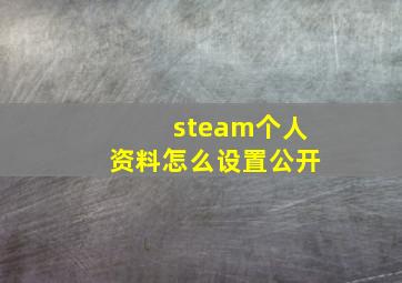 steam个人资料怎么设置公开