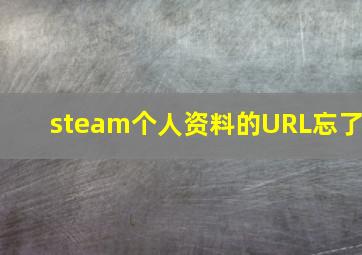 steam个人资料的URL忘了