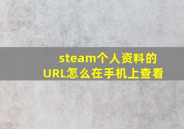 steam个人资料的URL怎么在手机上查看