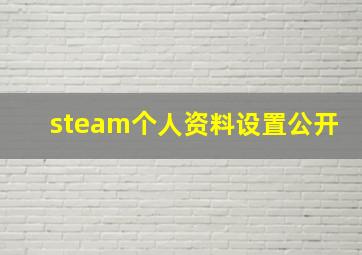 steam个人资料设置公开